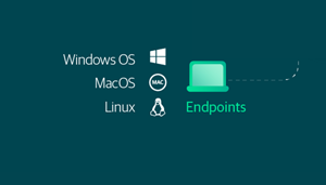 BaaS for endpoints